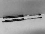 Heckklappe Gasdruckfeder links RENAULT CLIO II (BB0/1/2_, CB0/1/2_) 1.4 (B/CB0C)