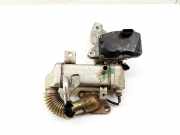 Abgaskühler Citroen DS5 () 147100789R