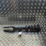 Stoßdämpfer vorne links ALFA ROMEO STELVIO (949_) 2.9 Q4 50535563 50553941