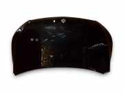 Motorhaube MERCEDES-BENZ VITO Tourer (W447) 220 CDI / d (447.811, 447.813) A4488870200