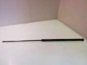 Heckklappe Gasdruckfeder links AUDI 100 Avant (4A, C4) 2.5 TDI M02902025