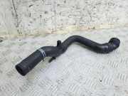 Schlauch Kühlung AUDI TT (8N3) 1.8 T 1J0121619
