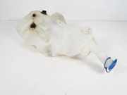 Fensterwaschtank MERCEDES-BENZ R (W251, V251) R 350 CDI 4-matic (251.022, 251.122) A2518690920 A2518690520