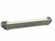 Ladeluftkühler MERCEDES-BENZ A (W169) A 180 CDI (169.007, 169.307) A1695000000