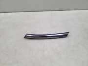 Schutzleiste Kotflügel Mini Mini (F55) 7300595
