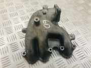 Ansaugbrücke VW POLO (AW1, BZ1, AE1) 1.6 TDI 045123713