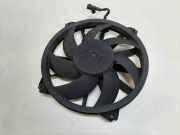 Elektrolüfter Citroen DS5 () FS2036