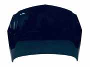 Motorhaube Opel Insignia A (G09) 20970122