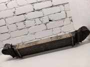 Ladeluftkühler MERCEDES-BENZ S (W220) S 320 CDI (220.026, 220.126) 2205000000
