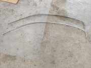 Dachleiste links RENAULT LAGUNA II (BG0/1_) 1.9 dCi