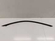 Zier-/Schutzleiste für Türscheibe BMW 2er Coupe (F22, F87)