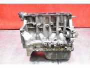 Motorblock Volvo V50 (545) G8DA