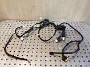 Kabel der vorderen linken Tür NISSAN X-TRAIL (T31) 2.0 dCi 24125JH11A