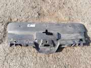 Vorderer oberer Gitter PEUGEOT 407 Coupe (6C_) 2.2 16V