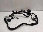 Türverkabelung hinten links CITROËN C4 Picasso II 1.6 THP 155 9807324380