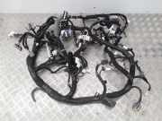 Kabelbaum RENAULT KOLEOS II 2.0 dCi 175 4WD 240184390S