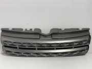 Vorderer oberer Gitter LAND ROVER RANGE ROVER EVOQUE (L538) 2.2 D 6818879