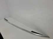 Dachreling links VW TIGUAN (5N_) 2.0 TDI 425011DE