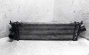Ladeluftkühler NISSAN PRIMASTAR Furgon (X83) 2.0 dCi 115 8200411160C