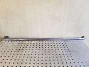 Zier-/Schutzleiste für Türscheibe Citroen C4 II Grand Picasso ()