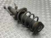 Stoßdämpfersatz Vorderachse Ford C-Max II (DXA)