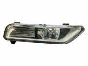 Nebelscheinwerfer vorne rechts VW PASSAT Variant B7 (365) 2.0 TDI 176623