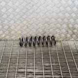 Schraubenfeder hinten links