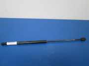 Heckklappendämpfer links Fiat Bravo II (198)