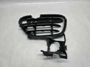 Gitter Grill vorne links PORSCHE CAYENNE (92A) 4.8 GTS 7P5807681C