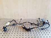 Kabel Tür Audi A6 (4G, C7) 4G5971029CG