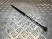 Heckklappe Gasdruckfeder rechts FORD ECOSPORT 1.0 EcoBoost GN15n400a12