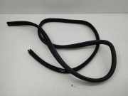 Türdichtung Maserati Quattroporte V ()