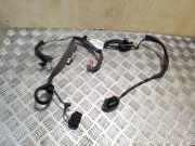 Türverkabelung hinten rechts VOLVO XC70 II D5 AWD 30724576