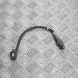 Sauerstoffsensor (Lambdasensor) MERCEDES-BENZ A (W169) A 160 (169.031, 169.331) 0045420718 0258006749