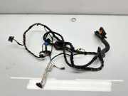 Kabel der vorderen linken Tür VW POLO (6R, 6C) 1.6 TDI 6R0959843B