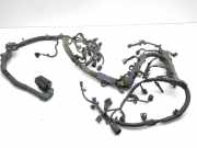 Motor Kabelbaum HONDA ACCORD VIII Estate (CW) 2.2 i-DTEC (CW3)