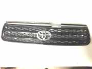 Gitter TOYOTA RAV 4 II (_A2_) 2.0 4WD (ACA21, ACA20) 5311142070