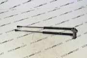 Heckklappe Gasdruckfeder links TOYOTA PRIUS Hatchback (_W2_) 1.5 (NHW2_) 689500W251