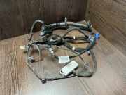 Kabel der vorderen linken Tür RENAULT MASTER III Furgon (FV) 2.3 dCi 125 FWD (FV0C, FV0D) 8200003263 8200778254