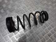 Schraubenfeder hinten links