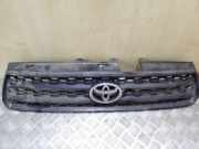 Kühlergrill komplett Toyota RAV 4 II (A2)
