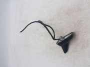Antenne Dach Audi A6 (4F, C6) 4F9035503