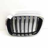 Kühlergrill BMW X3 (G01, F97) 8091725