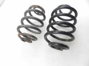 Federblatt links hinten Renault Clio II (B)