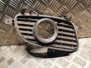Kühlergrill rechts Mercedes-Benz A-Klasse (W169) 1698850822