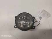Nebelscheinwerfer links vorne Citroen C5 II Break (RE) 9650001680