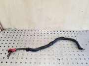 Kabelbaum NISSAN PATHFINDER III (R51) 2.5 dCi 4WD