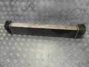 Ladeluftkühler Mercedes-Benz B-Klasse Sports Tourer (W245) 0000430