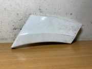 Andere Verkleidungsteile MERCEDES-BENZ SPRINTER 3,5-t (906) 316 CDI (906.131, 906.133, 906.135, 906.231, 906.233,... #C1231 A906690482