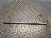 Horizontale Oberfläche der hinteren rechten Türen MERCEDES-BENZ GL (X164) GL 450 4-matic (164.871) 1646908180